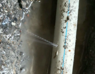 临桂测漏水哪家好