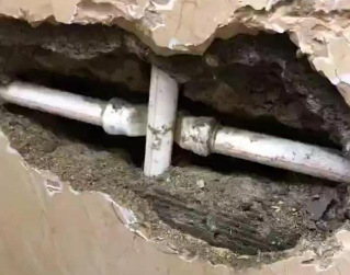 临桂测漏水哪家好