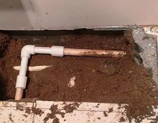 临桂测漏水哪家好