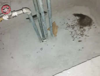 临桂卫生间测漏水价格明细