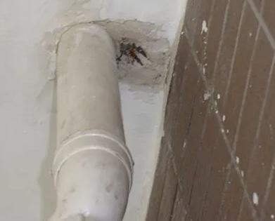 临桂漏水检测哪家好